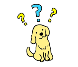 Golden retrieber, Rockey!! sticker #7215249