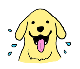 Golden retrieber, Rockey!! sticker #7215251