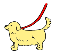 Golden retrieber, Rockey!! sticker #7215253