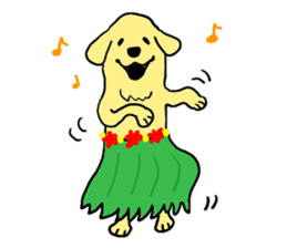 Golden retrieber, Rockey!! sticker #7215254