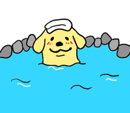 Golden retrieber, Rockey!! sticker #7215256