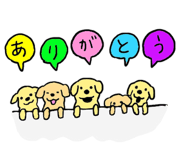 Golden retrieber, Rockey!! sticker #7215257