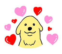 Golden retrieber, Rockey!! sticker #7215263