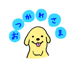 Golden retrieber, Rockey!! sticker #7215269