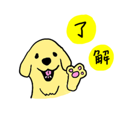 Golden retrieber, Rockey!! sticker #7215271