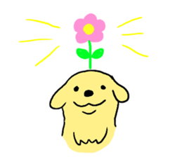 Golden retrieber, Rockey!! sticker #7215277