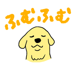 Golden retrieber, Rockey!! sticker #7215279