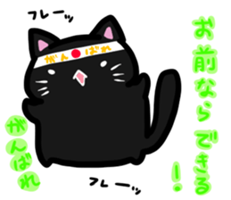 qoo ofthe blackcat sticker #7215348