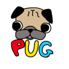 Daily life of the pug