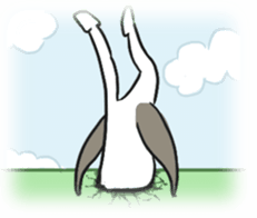 penguiy sticker #7216999