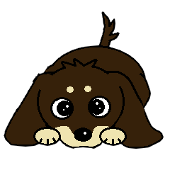 I love  Miniature Dachshund