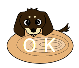 I love  Miniature Dachshund sticker #7217440