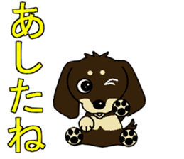 I love  Miniature Dachshund sticker #7217441