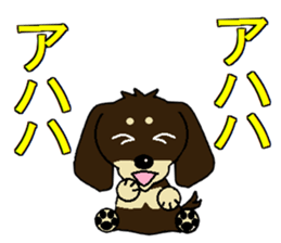 I love  Miniature Dachshund sticker #7217443