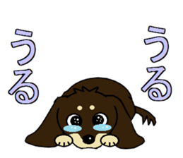 I love  Miniature Dachshund sticker #7217452