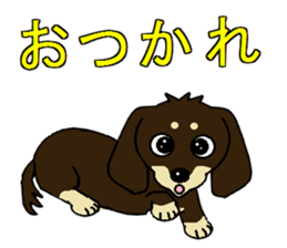 I love  Miniature Dachshund sticker #7217454