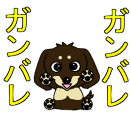 I love  Miniature Dachshund sticker #7217462