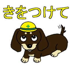 I love  Miniature Dachshund sticker #7217464
