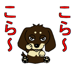 I love  Miniature Dachshund sticker #7217467