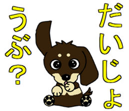 I love  Miniature Dachshund sticker #7217469