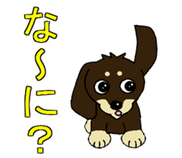 I love  Miniature Dachshund sticker #7217473