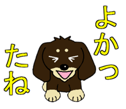 I love  Miniature Dachshund sticker #7217478