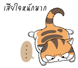 Soidow cat (Thai v.) sticker #7217720