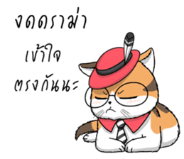 Soidow cat (Thai v.) sticker #7217721