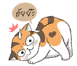 Soidow cat (Thai v.) sticker #7217722