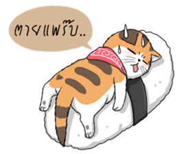 Soidow cat (Thai v.) sticker #7217724