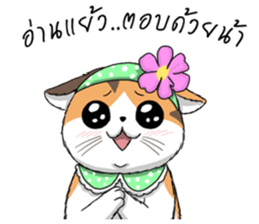 Soidow cat (Thai v.) sticker #7217728