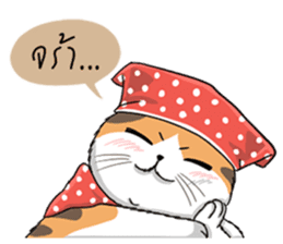 Soidow cat (Thai v.) sticker #7217729