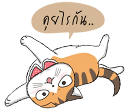 Soidow cat (Thai v.) sticker #7217731
