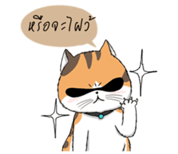 Soidow cat (Thai v.) sticker #7217733