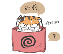 Soidow cat (Thai v.) sticker #7217734
