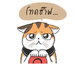 Soidow cat (Thai v.) sticker #7217736