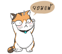 Soidow cat (Thai v.) sticker #7217738