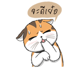 Soidow cat (Thai v.) sticker #7217744