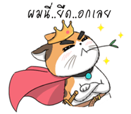 Soidow cat (Thai v.) sticker #7217746