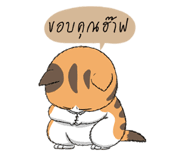 Soidow cat (Thai v.) sticker #7217750