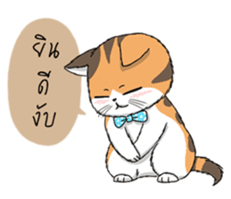 Soidow cat (Thai v.) sticker #7217751