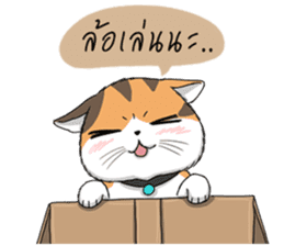 Soidow cat (Thai v.) sticker #7217753
