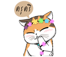 Soidow cat (Thai v.) sticker #7217754