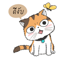 Soidow cat (Thai v.) sticker #7217756