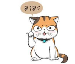 Soidow cat (Thai v.) sticker #7217757
