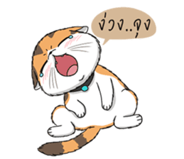 Soidow cat (Thai v.) sticker #7217758