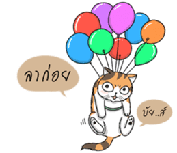Soidow cat (Thai v.) sticker #7217759