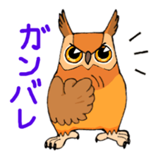 Cute horned owl sticker #7218132