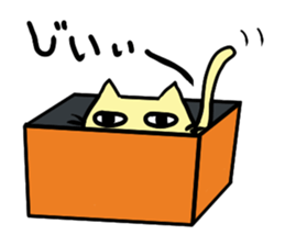 nico cat sticker #7218197