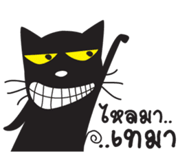 Black Cat Indy sticker #7219049